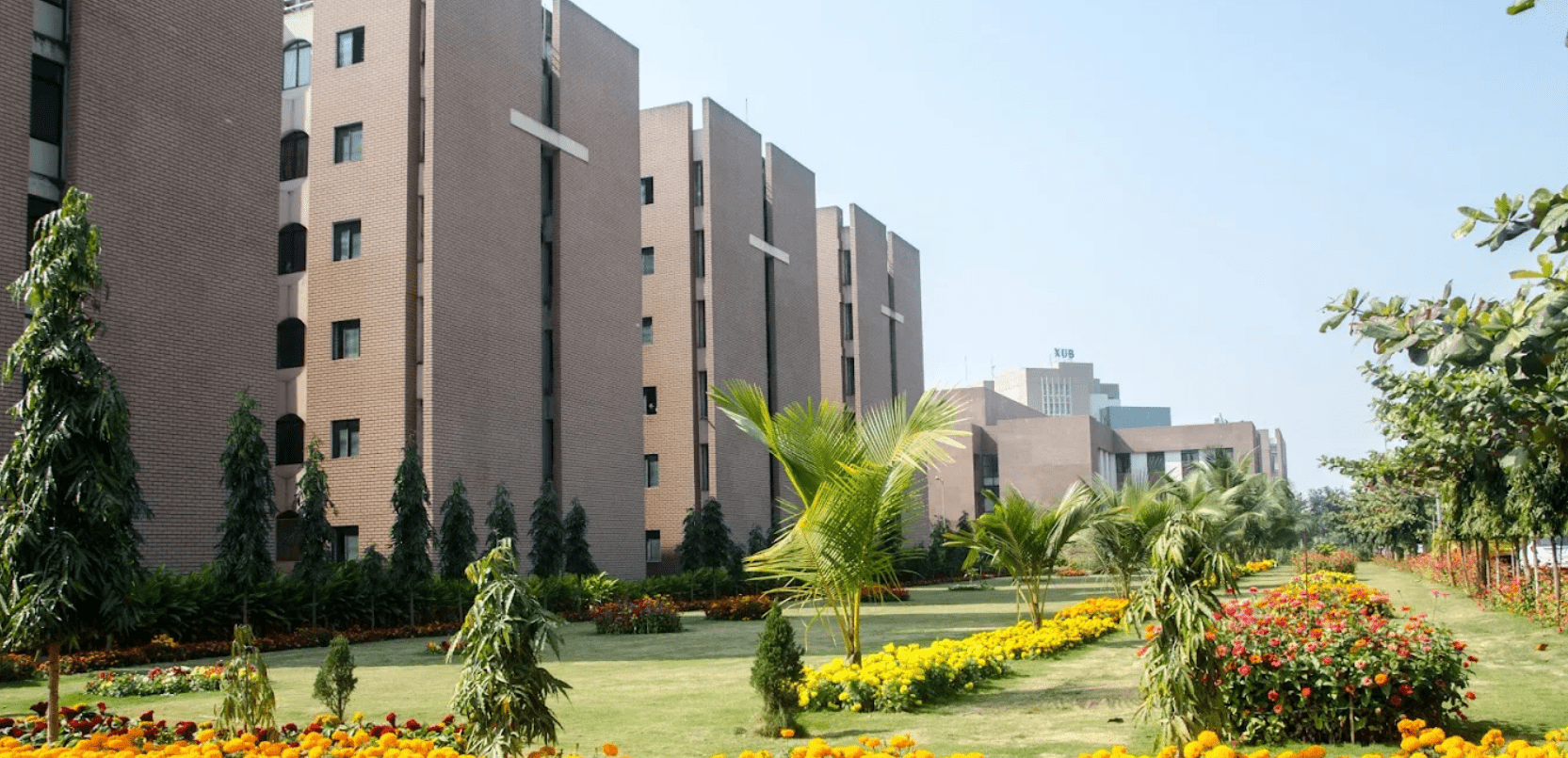 XIM University Odisha