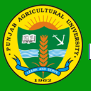 Best Universities in Punjab 8 Punjab Agricultural University Panjab
